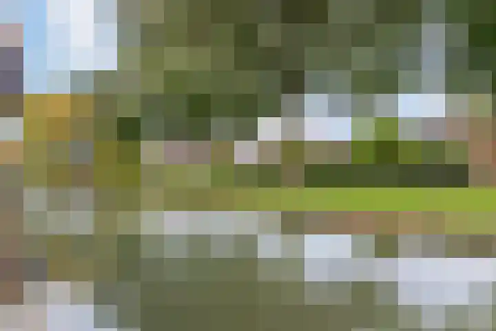 Heidezoom 35 Papendrecht thumbnail 26