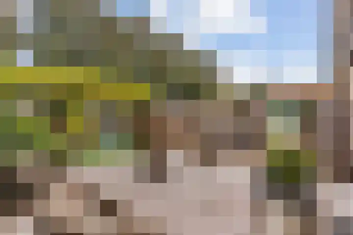 Heidezoom 35 Papendrecht thumbnail 27
