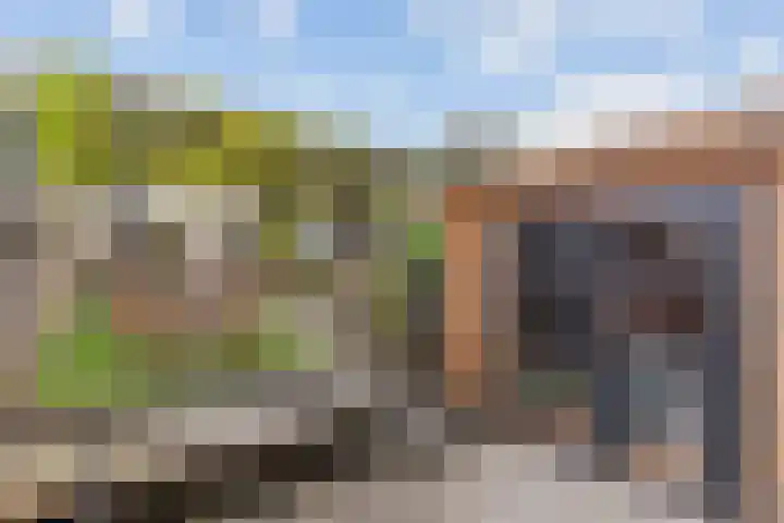 Heidezoom 35 Papendrecht thumbnail 28