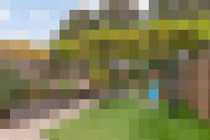 Heidezoom 35 Papendrecht thumbnail 29