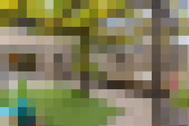 Heidezoom 35 Papendrecht thumbnail 30
