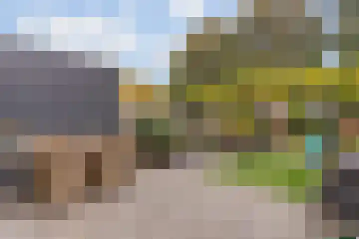 Heidezoom 35 Papendrecht thumbnail 31