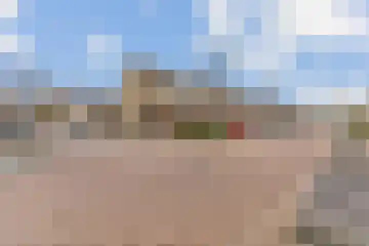 Heidezoom 35 Papendrecht thumbnail 32
