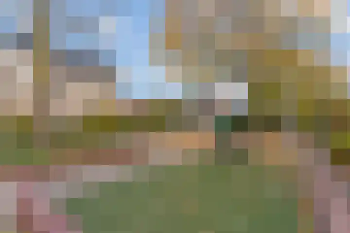 Heidezoom 35 Papendrecht thumbnail 33