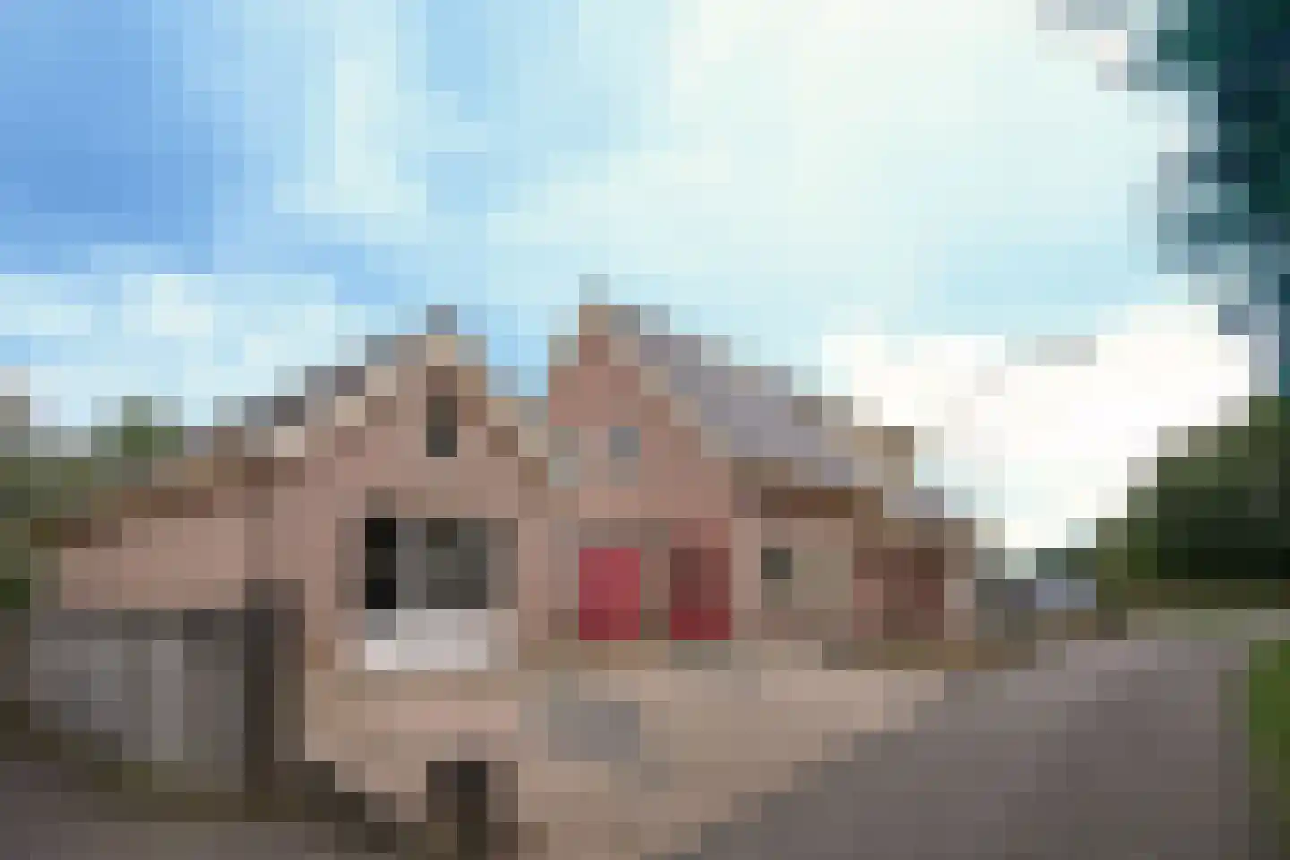 Heidijk 51 Vlijmen thumbnail 16