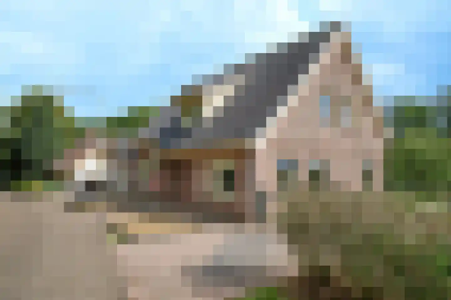 Heidijk 51 Vlijmen thumbnail 17