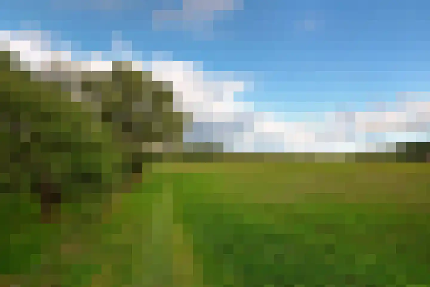 Heidijk 51 Vlijmen thumbnail 4