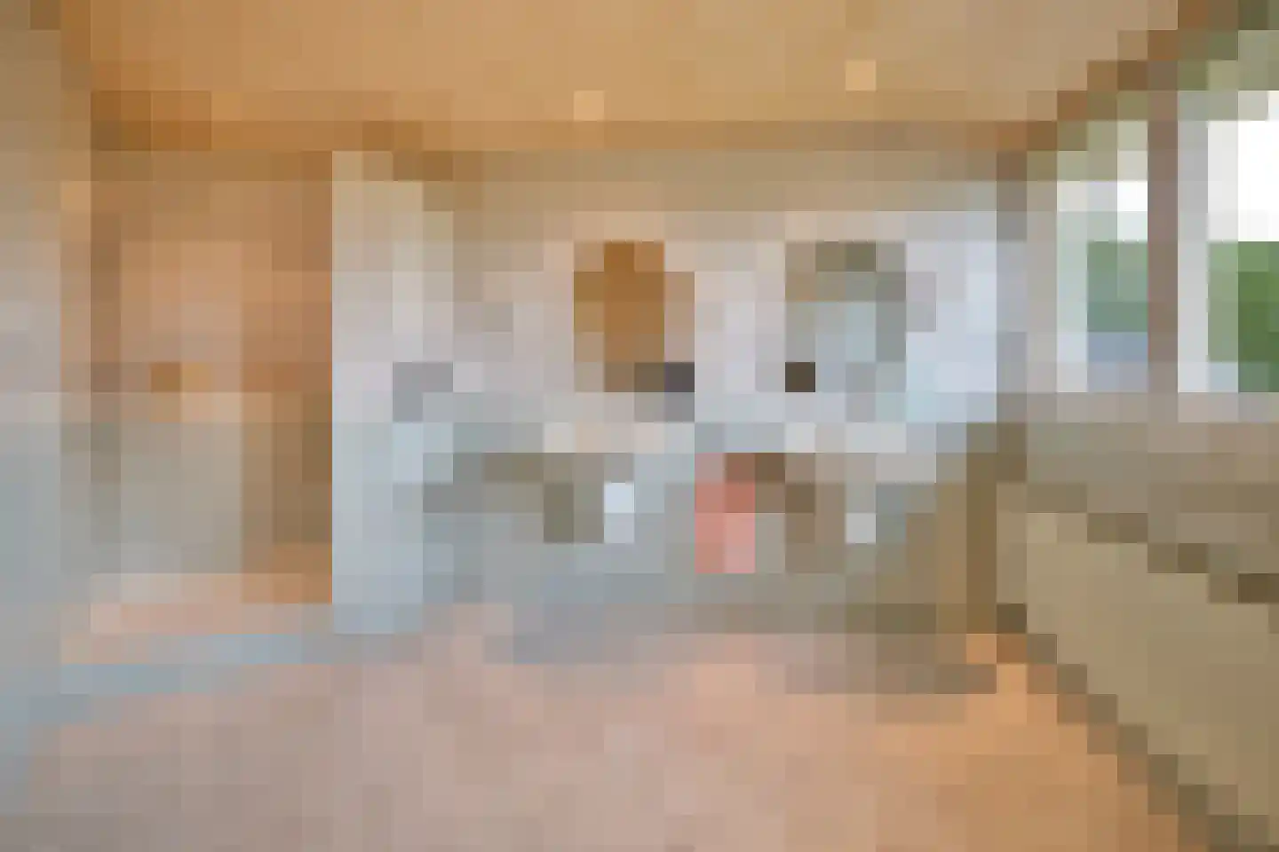Heidijk 51 Vlijmen thumbnail 9
