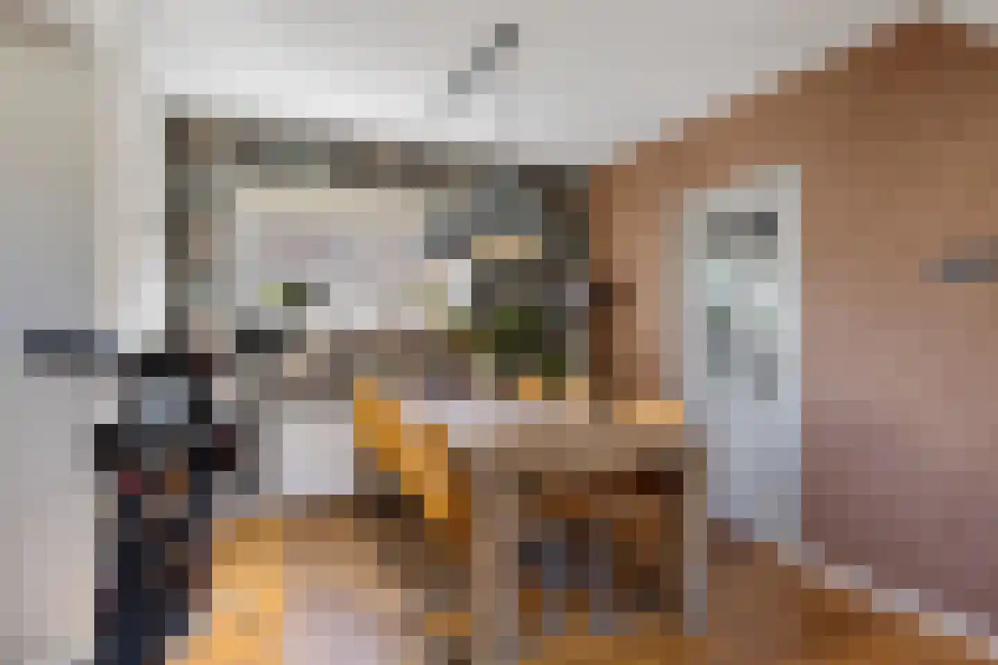 Heidkamp 1 Bakkeveen thumbnail 10