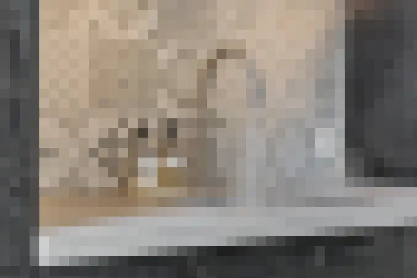 Heidkamp 1 Bakkeveen thumbnail 16
