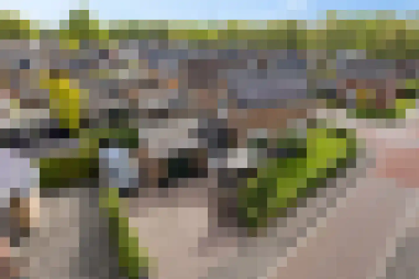Heidkamp 1 Bakkeveen thumbnail 35