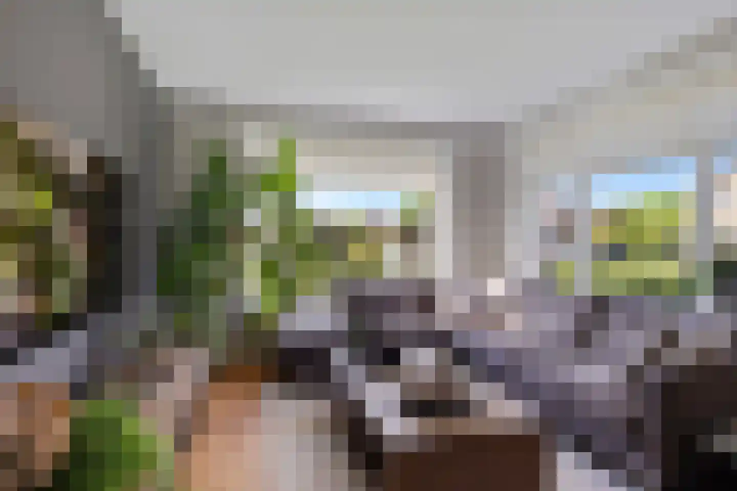 Heidkamp 1 Bakkeveen thumbnail 7