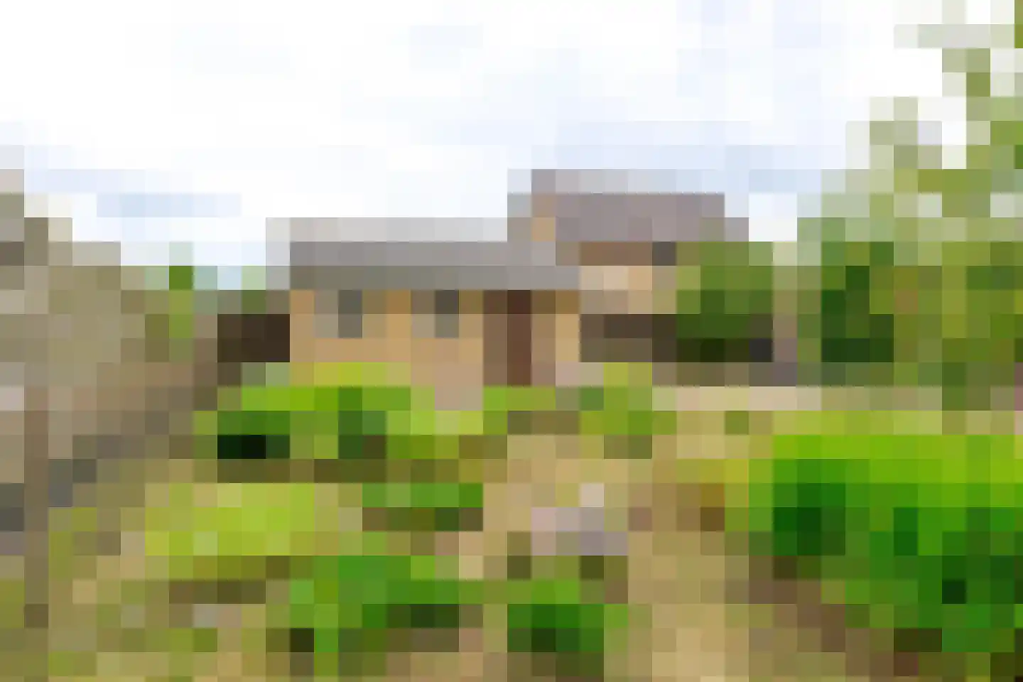 Heidkamp 22 Bakkeveen thumbnail 12
