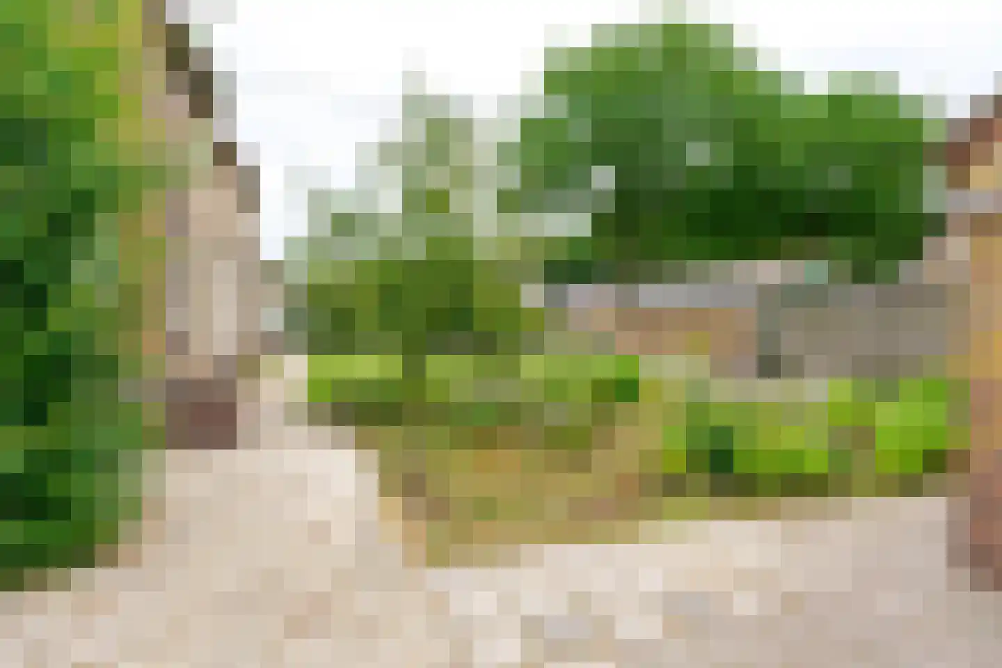 Heidkamp 22 Bakkeveen thumbnail 13