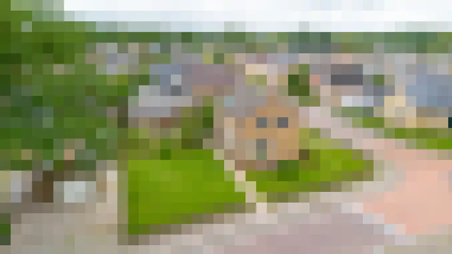 Heidkamp 22 Bakkeveen thumbnail 17