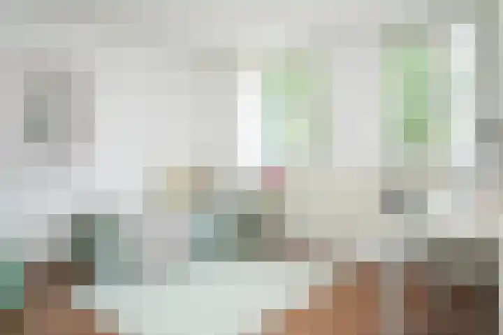 Heidonk 26 Liempde thumbnail 16