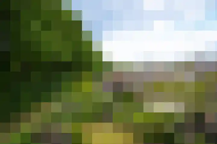 Heidonk 26 Liempde thumbnail 27