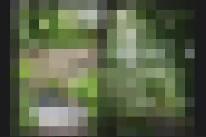 Heidonk 26 Liempde thumbnail 40