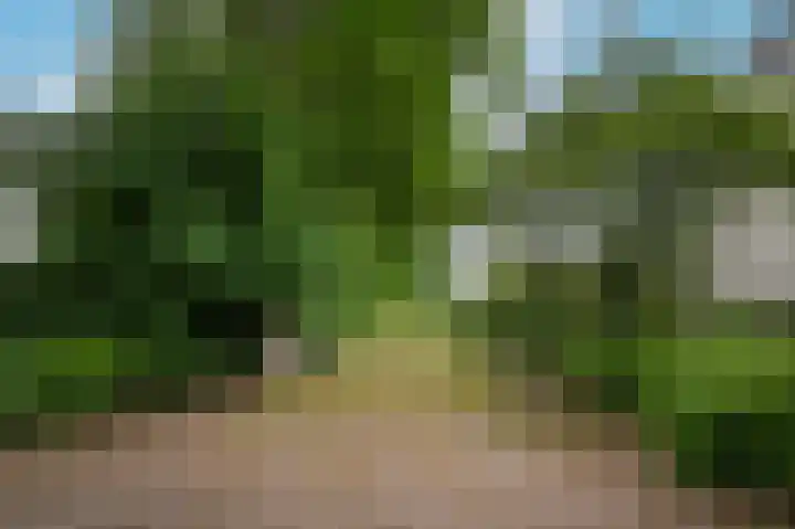 Heidonk 26 Liempde thumbnail 46