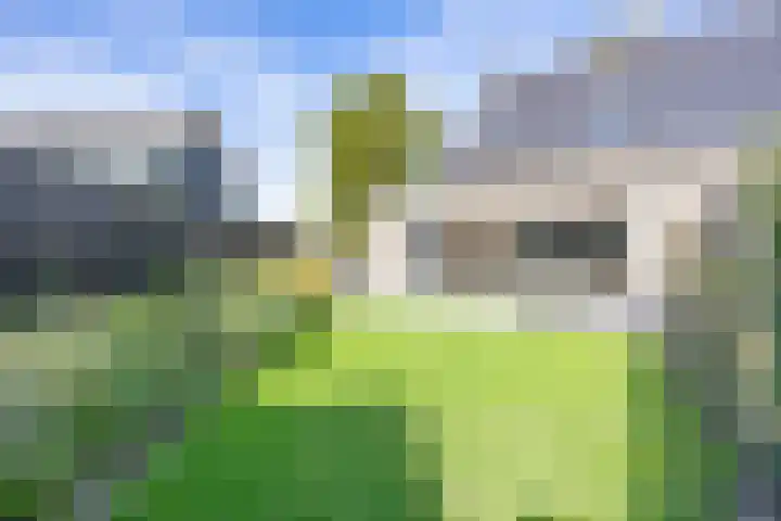 Heidseweg 31 Heide thumbnail 28