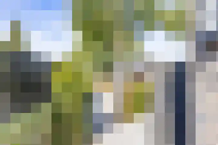 Heidseweg 31 Heide thumbnail 31