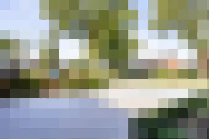 Heidseweg 31 Heide thumbnail 4
