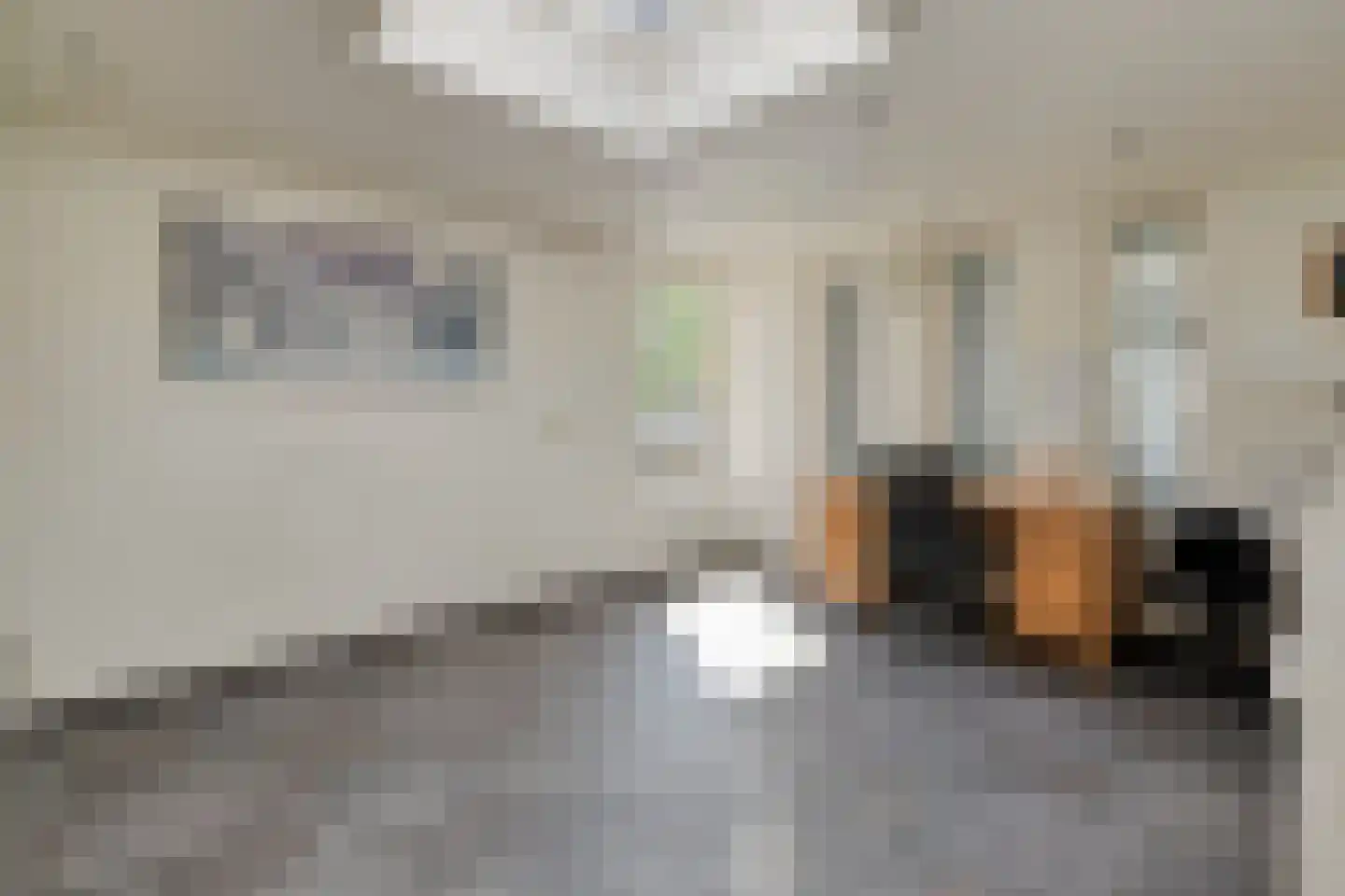 Heieindseweg 8 Mariahout thumbnail 20