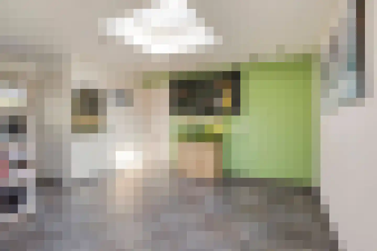 Heieindseweg 8 Mariahout thumbnail 21