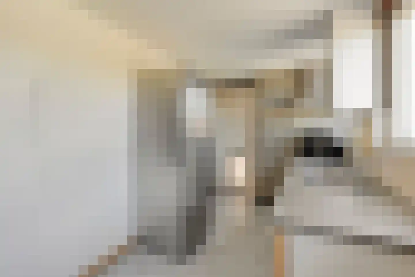 Heieindseweg 8 Mariahout thumbnail 25