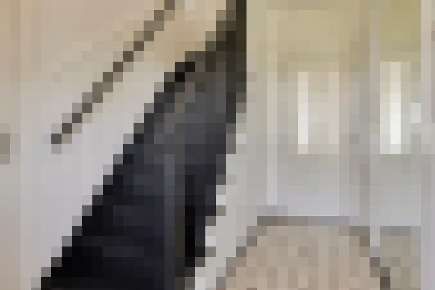 Heieindseweg 8 Mariahout thumbnail 39