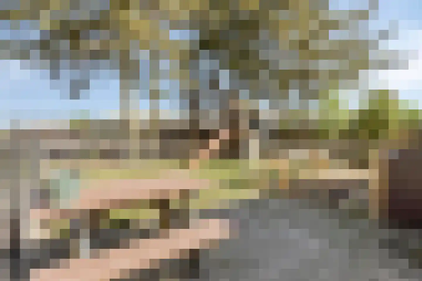 Heieindseweg 8 Mariahout thumbnail 57