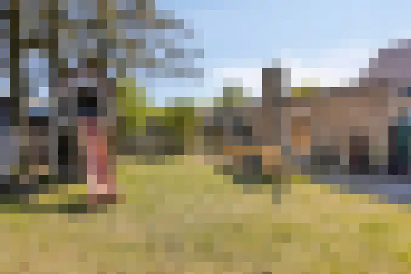 Heieindseweg 8 Mariahout thumbnail 58
