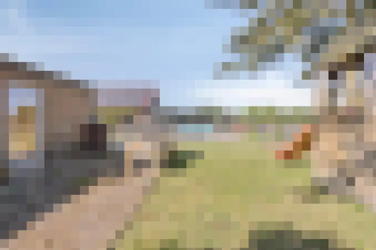 Heieindseweg 8 Mariahout thumbnail 59