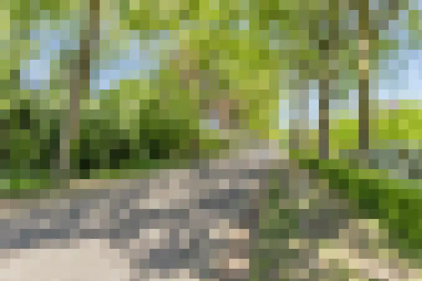 Heieindseweg 8 Mariahout thumbnail 70