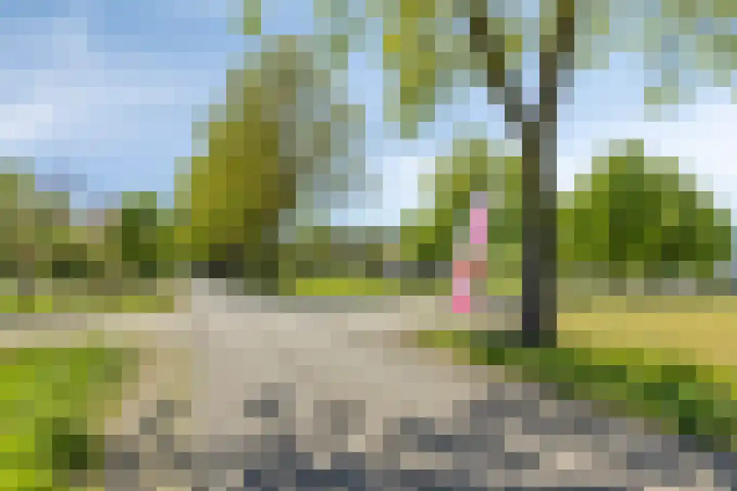 Heieindseweg 8 Mariahout thumbnail 71
