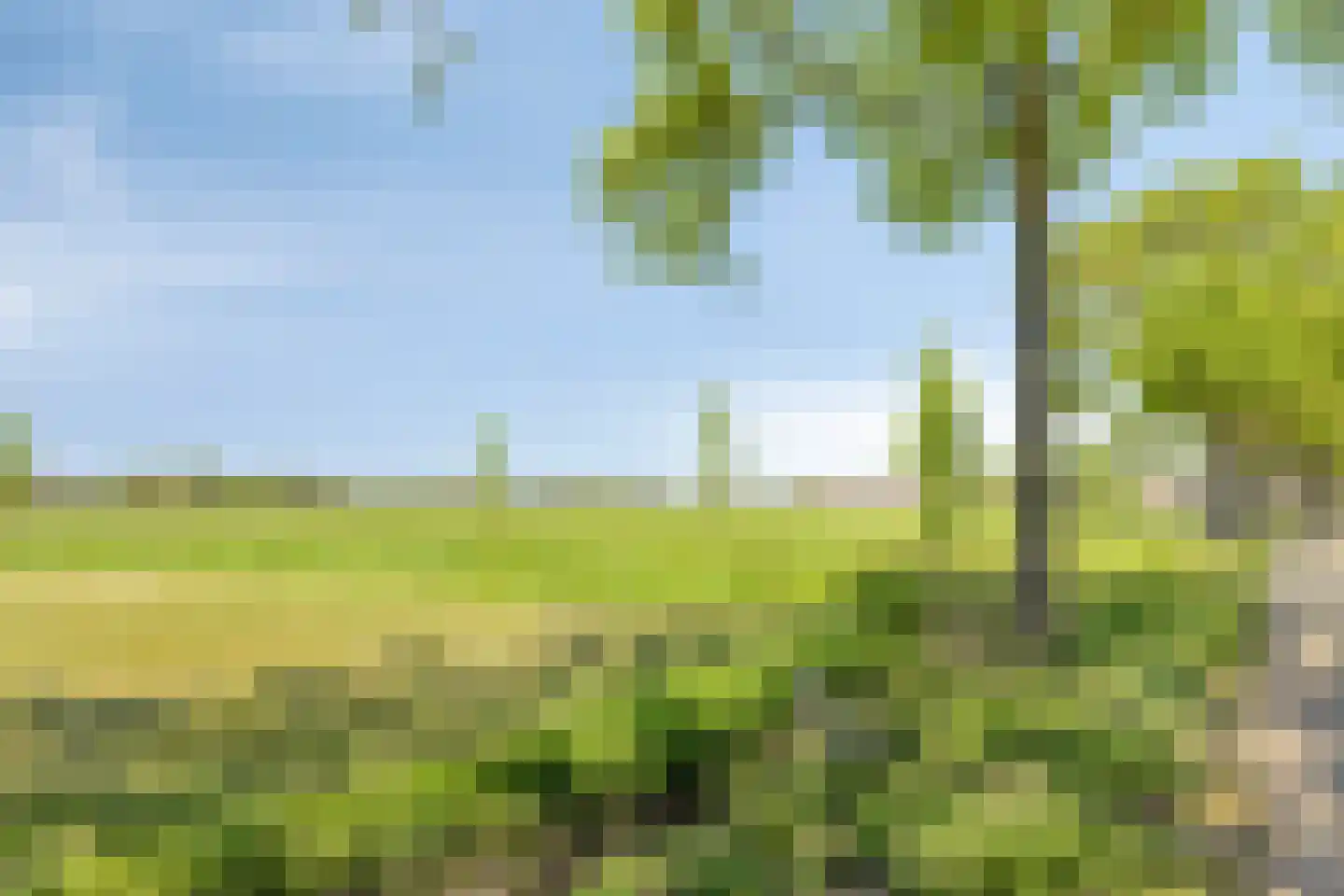 Heieindseweg 8 Mariahout thumbnail 72