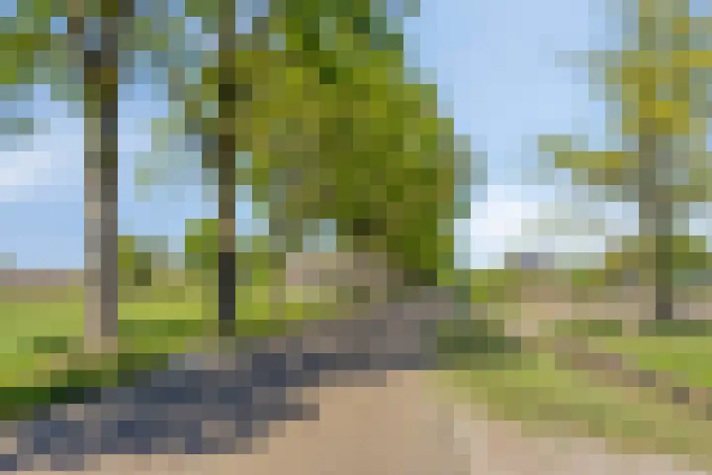 Heieindseweg 8 Mariahout thumbnail 73