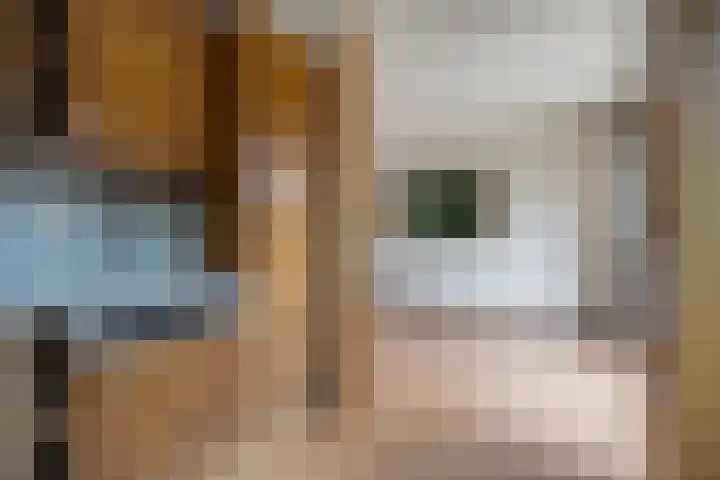 Heienlangdonk 37 Breda thumbnail 20