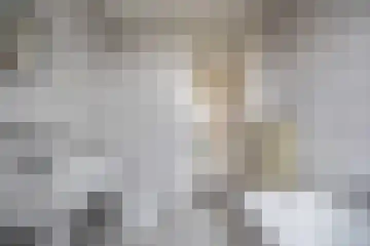 Heienlangdonk 37 Breda thumbnail 32