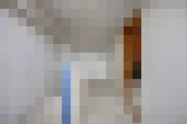 Heienlangdonk 37 Breda thumbnail 34