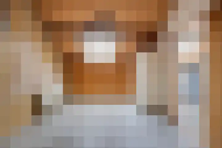 Heienlangdonk 37 Breda thumbnail 37