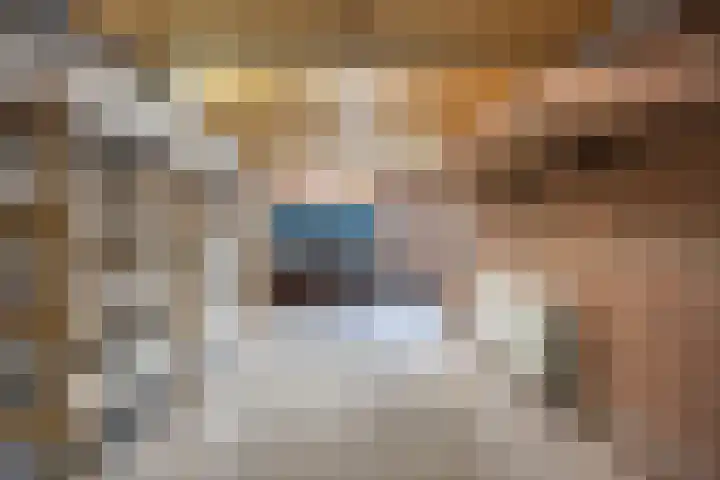 Heienlangdonk 37 Breda thumbnail 46