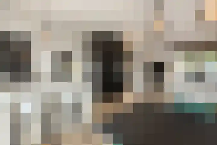 Heienlangdonk 69 Breda thumbnail 11