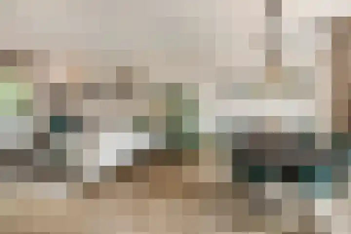Heienlangdonk 69 Breda thumbnail 12