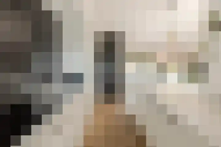 Heienlangdonk 69 Breda thumbnail 13