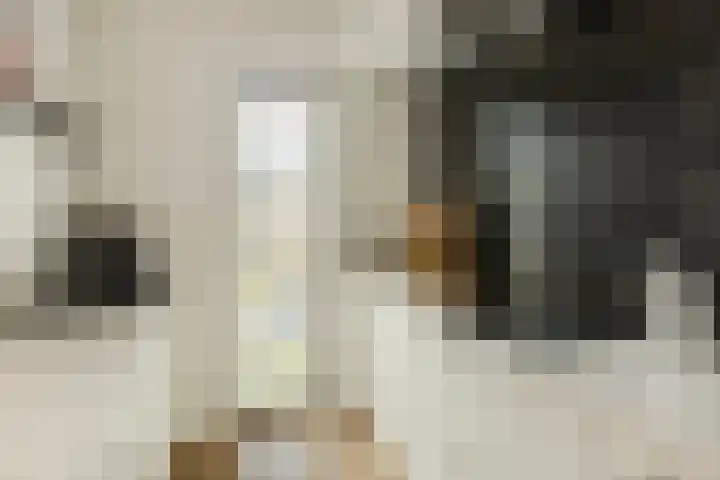 Heienlangdonk 69 Breda thumbnail 15