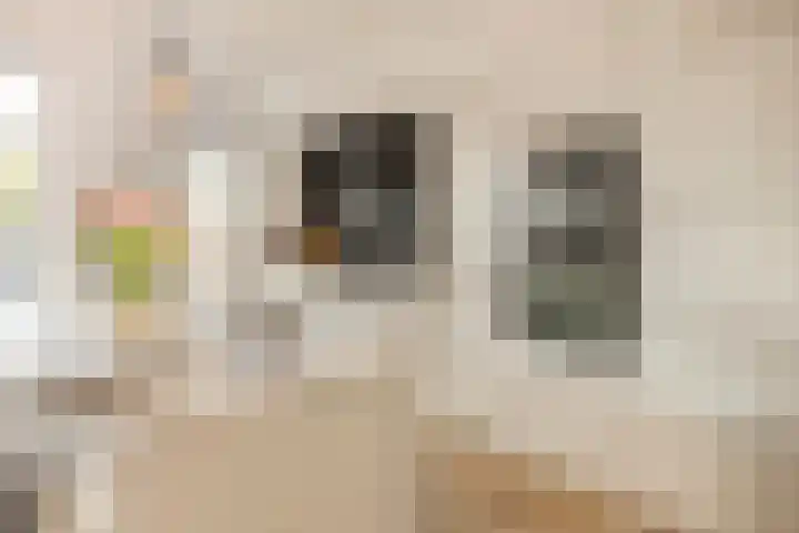 Heienlangdonk 69 Breda thumbnail 17