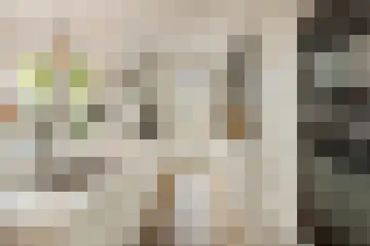 Heienlangdonk 69 Breda foto 3