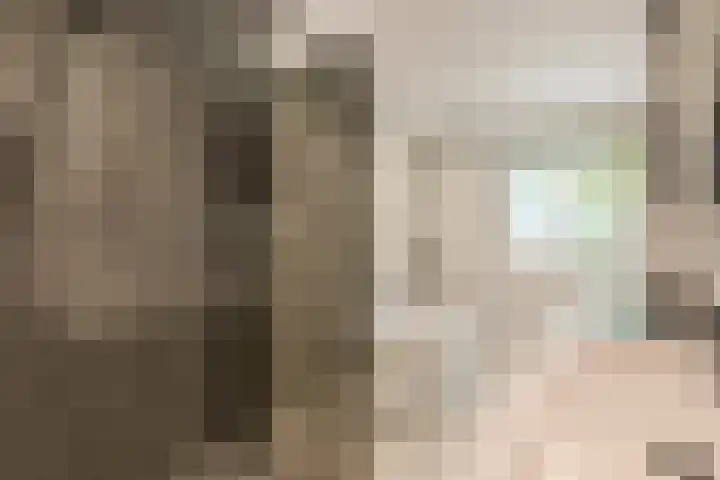 Heienlangdonk 69 Breda thumbnail 30