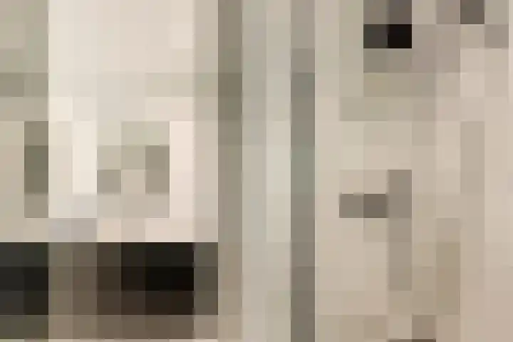 Heienlangdonk 69 Breda thumbnail 35